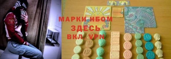 крисы Армянск