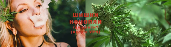 крисы Армянск