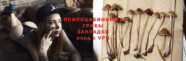 твердый Аркадак