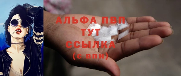 крисы Армянск