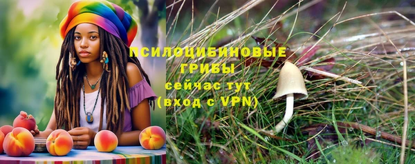 твердый Аркадак