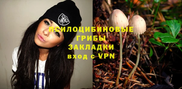 твердый Аркадак