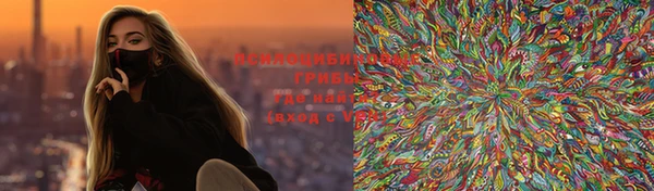 крисы Армянск