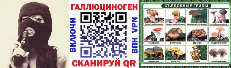 KRAKEN   Судак  Псилоцибиновые грибы Cubensis 