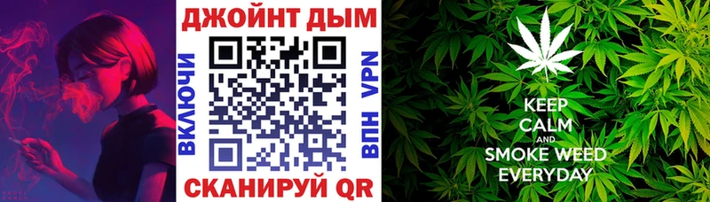Бошки Шишки ГИДРОПОН  Судак 